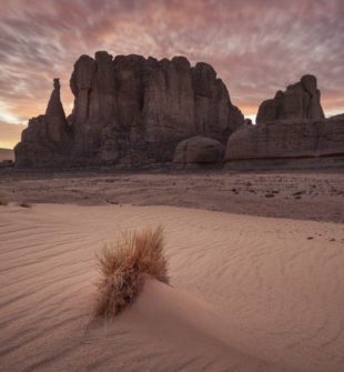 Sahara - Et udforskning af verdens største ørken