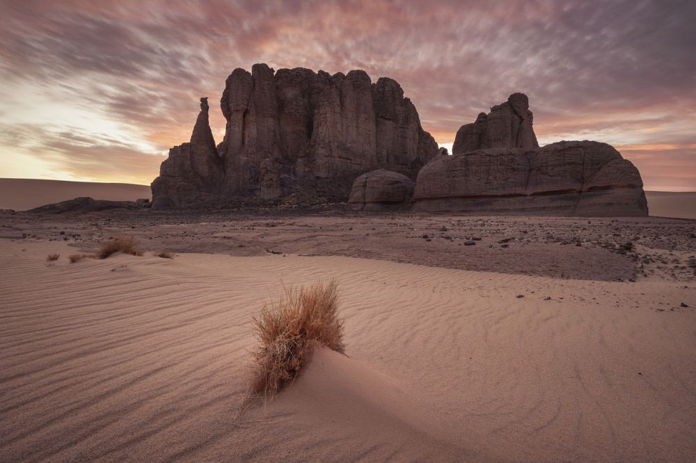 Sahara - Et udforskning af verdens største ørken