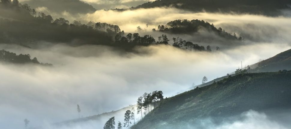 Rejse Thailand: Oplev det fantastiske land og dets rigdom af kultur og natur